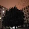 Eugene_Crowley - @Eugene_Crowley - TikTok