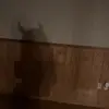 Jenna - @jennaculpepper22 - TikTok