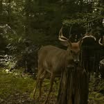 gene rayman - @genedale07 - Instagram