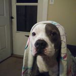 Gene Dennis - @gene.dennis.5 - Instagram