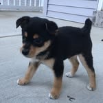 Dexter Gene Wang - @dexter_gene_wang - Instagram