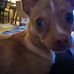 Gene Dickey - Facebook
