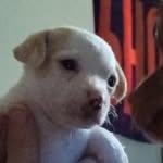 Gene Dickey - @gene.6632 - Instagram