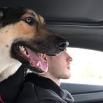 Gene Dukes - @gene.dukes.391 - Instagram
