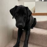 Gene Elder - @flip_your_thinking - Instagram
