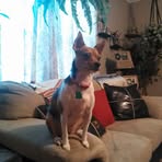 Gene Eldridge - Facebook