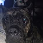 Geneva Eldridge - Facebook