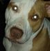 Gene Ellis - Facebook