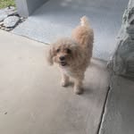 Gene Foley - @genefoley - Instagram