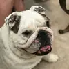 Gene Fulmer - @gene.fulmer - TikTok