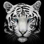 Gene Gaines - @gene.gaines.792 - Instagram
