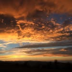 Gene Galitz - @genegalitz - Instagram