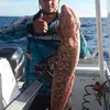 Gene Gall - @gene.gall1 - TikTok