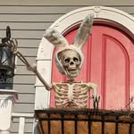 Gene Gallistel - @genegallistel - Instagram