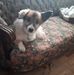 Eugene Gamache - Facebook