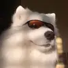 Genevagenegee - @genevagenegee - TikTok