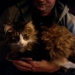 Gene Geiger - @geiger3808 - Instagram