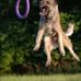 Gene Gerlach - Facebook