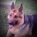 Gene Gillette - Facebook