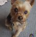 Geneva Gillett Edwards - Facebook