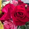 Gene-González - @gonzalez.genesis5 - TikTok