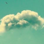 Gene Good - @goodwarmcloud - Instagram