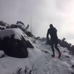 Gene Graham - @genekg75 - Instagram