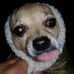 Gene Greer - Facebook