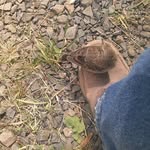 Gene Grimmett - @gene.grimmett - Instagram