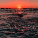 @genegrove - Instagram