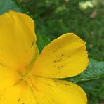 Gene Gutierrez - Facebook