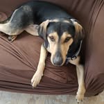 gene hare - @haregene20 - Instagram