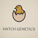Hatch Genetics - @hatchgenetics - Instagram