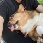 Larry Gene Heller Jr. - @lgheller84 - Instagram