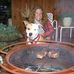 Genesee Herrick - Facebook