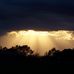 Gene Herring - Facebook