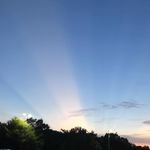 Les Gene Herring - @wtf_les - Instagram