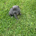 Gene Hightower - @gene.hightower72 - Instagram