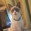 Gene Hobbs - @gene.hobbs - TikTok
