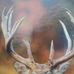 Gene Holman - Facebook