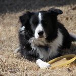 Gene Hufford - @genehufford - Instagram