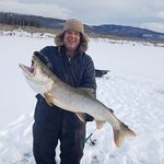 Gene Johnston - @genejohnston85 - Instagram