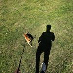 Shelton - @sheltongenejohnson - Instagram