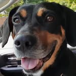 @general_iroh_keefer - Instagram