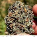 General_kief_keeferton - @general_kief_keeferton - Instagram