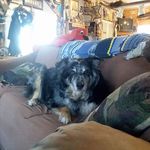 Gene Kirkpatrick - @gene.kirkpatrick.98 - Instagram