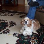 Geneva Lathrop - Facebook