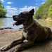 Gene Maples - Facebook