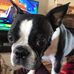 Gene Marsh - Facebook