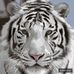 Gene Marsh - Facebook